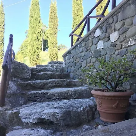 Sovaggio Caprese Michelangelo